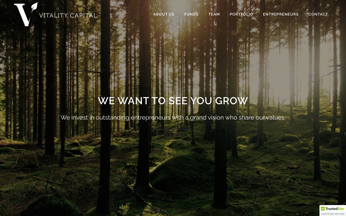 Vitality Capital website preview