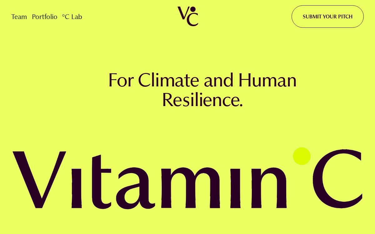 VitaminºC website preview