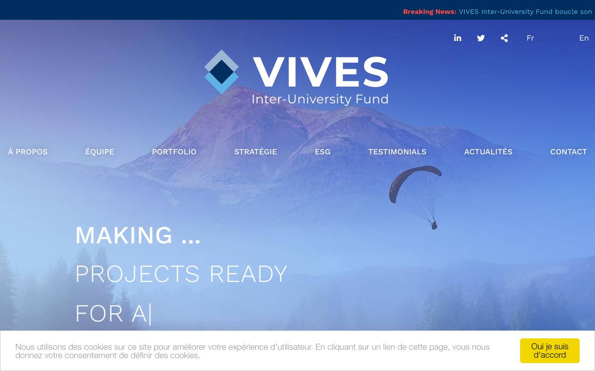 VIVES Partners website preview