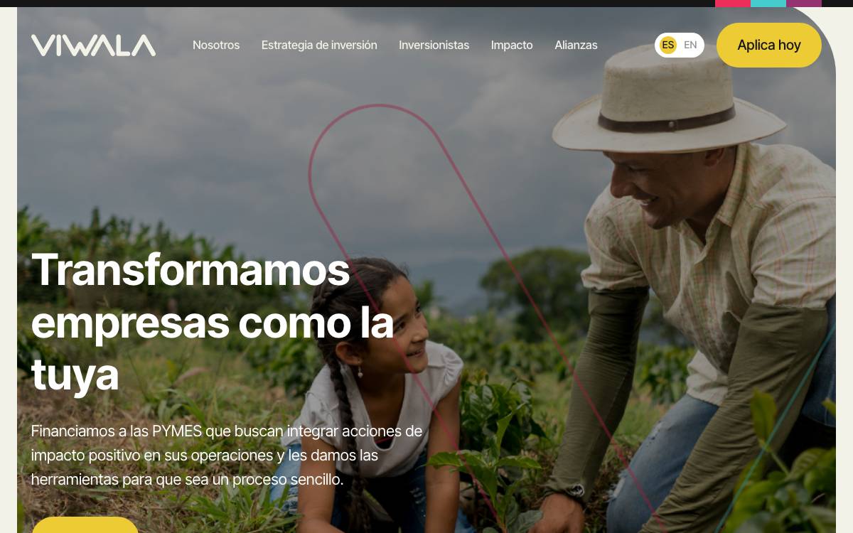 VIWALA website preview