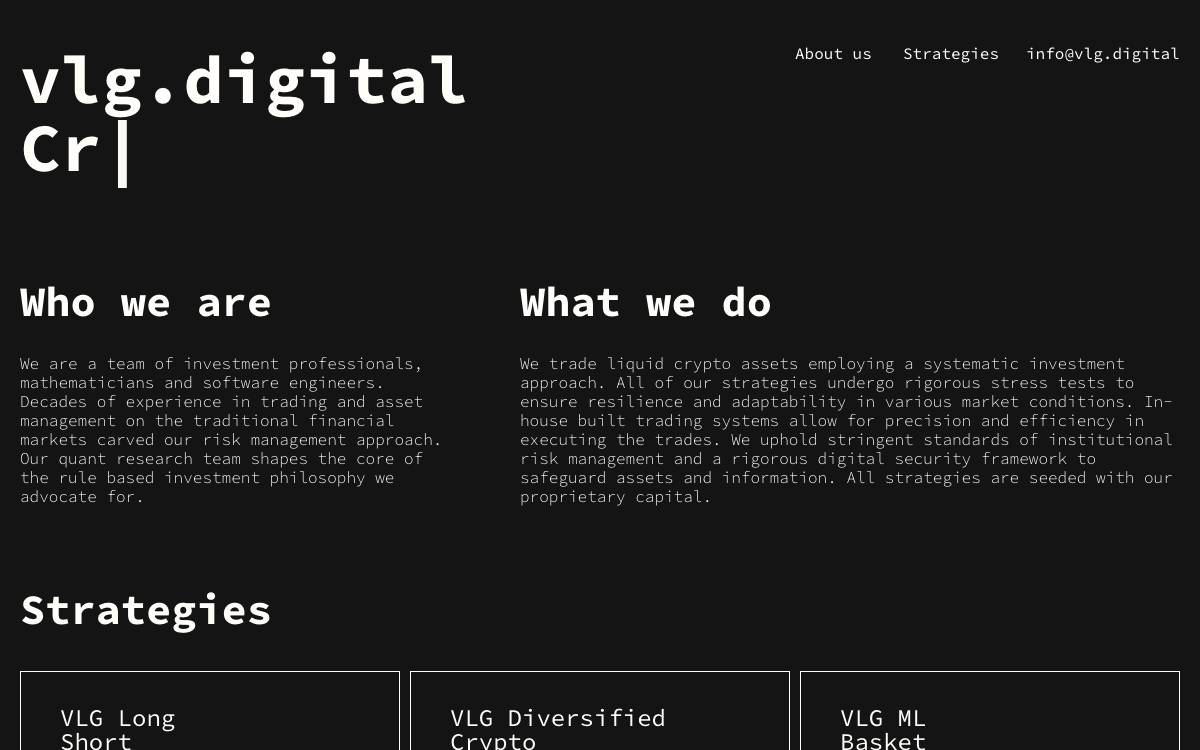 VLG Digital website preview