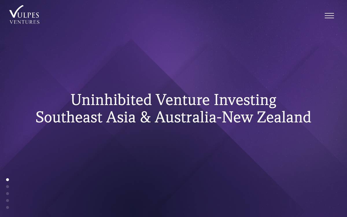 Vulpes Ventures website preview