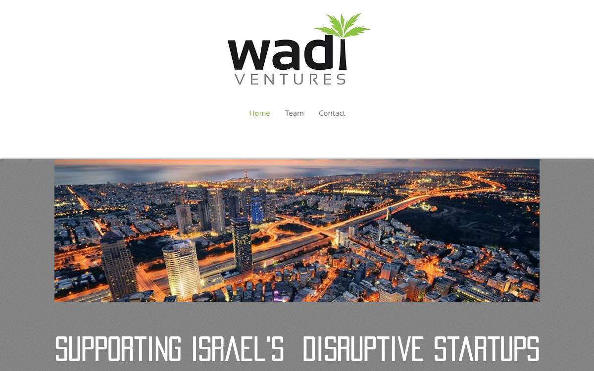 Wadi Ventures website preview