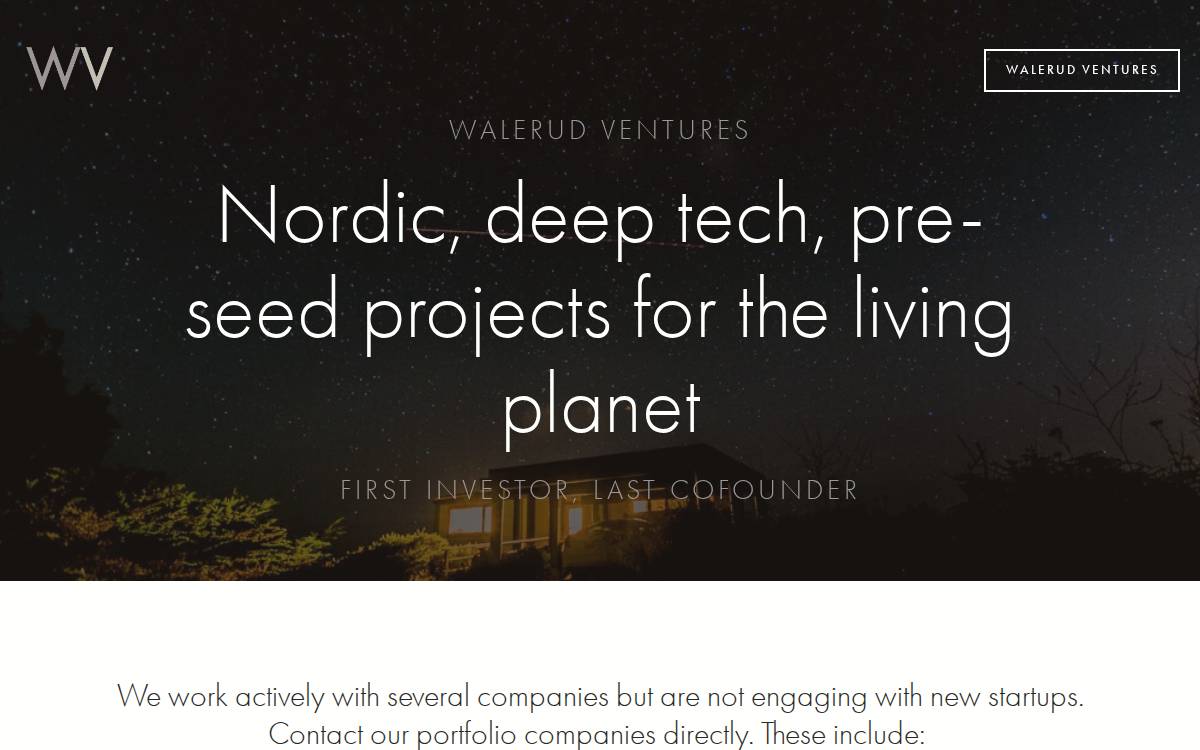 Walerud Ventures website preview