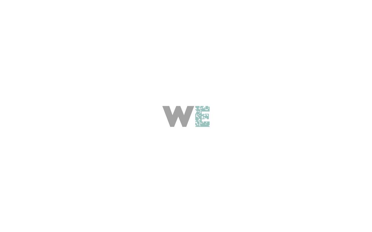 Wallonie Entreprendre website preview
