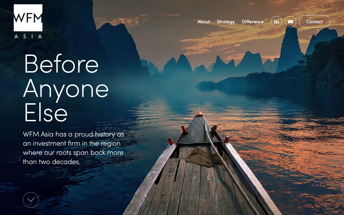 Ward Ferry Management website preview