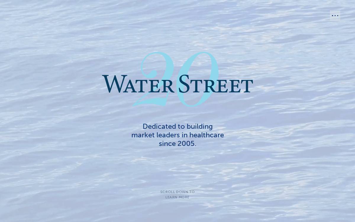 Water Street Healthcare Partners website preview