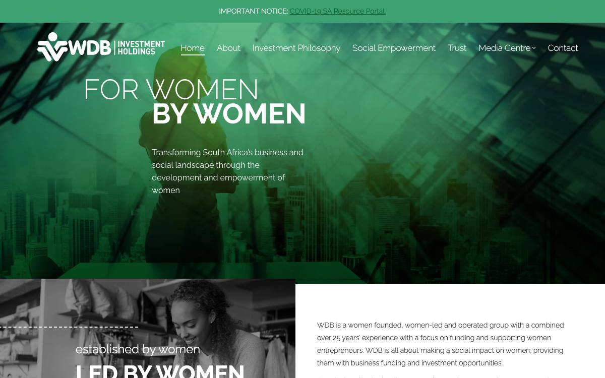 WDB Investment Holdings website preview