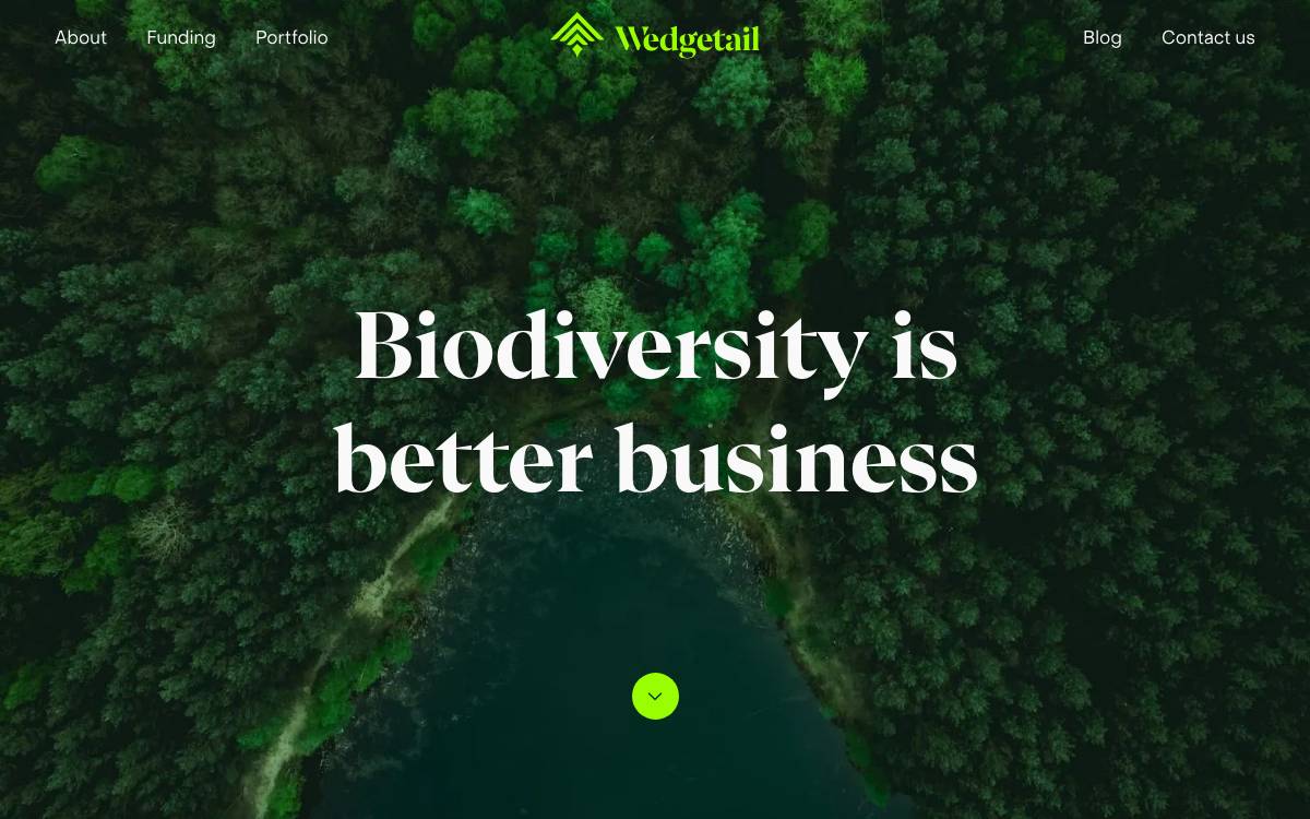 Wedgetail website preview