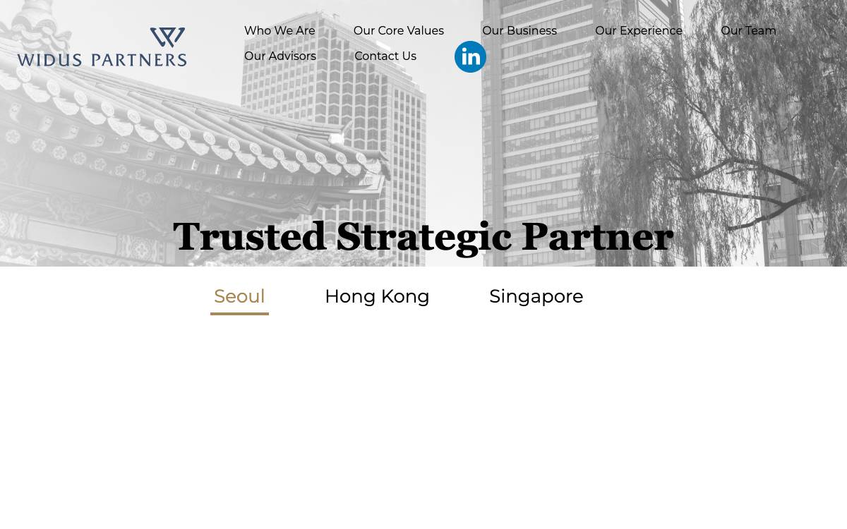 Widus Partners website preview