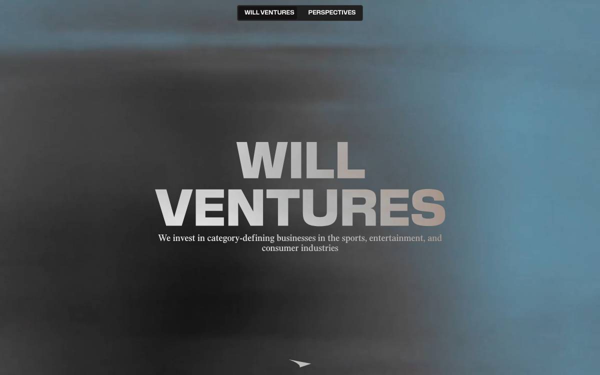 Will Ventures website preview