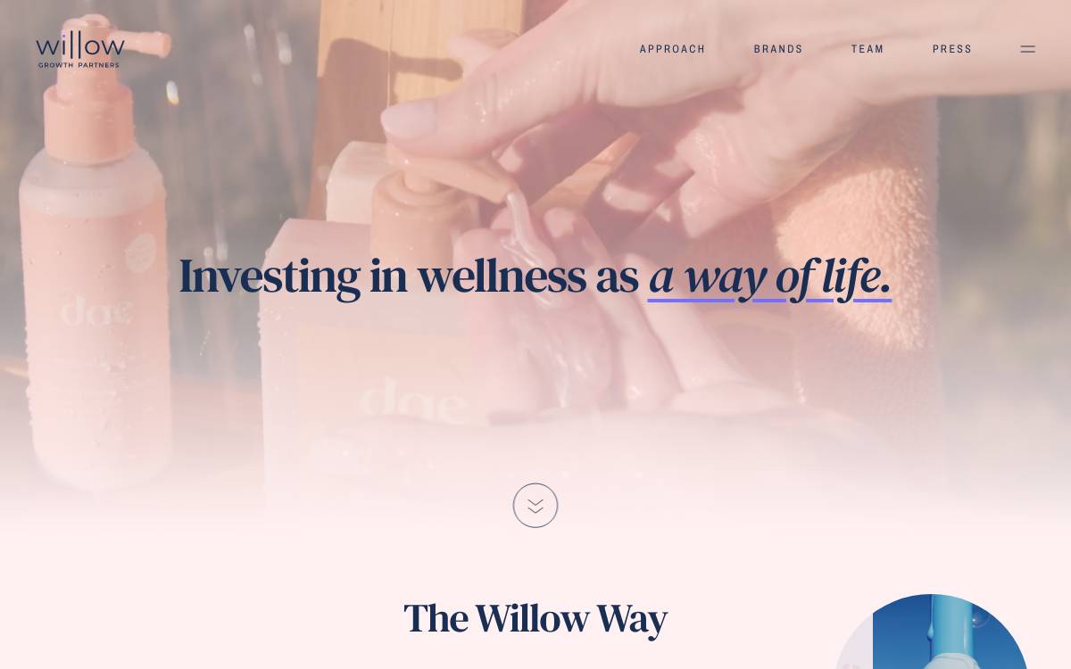 Willow Growth Partners website preview