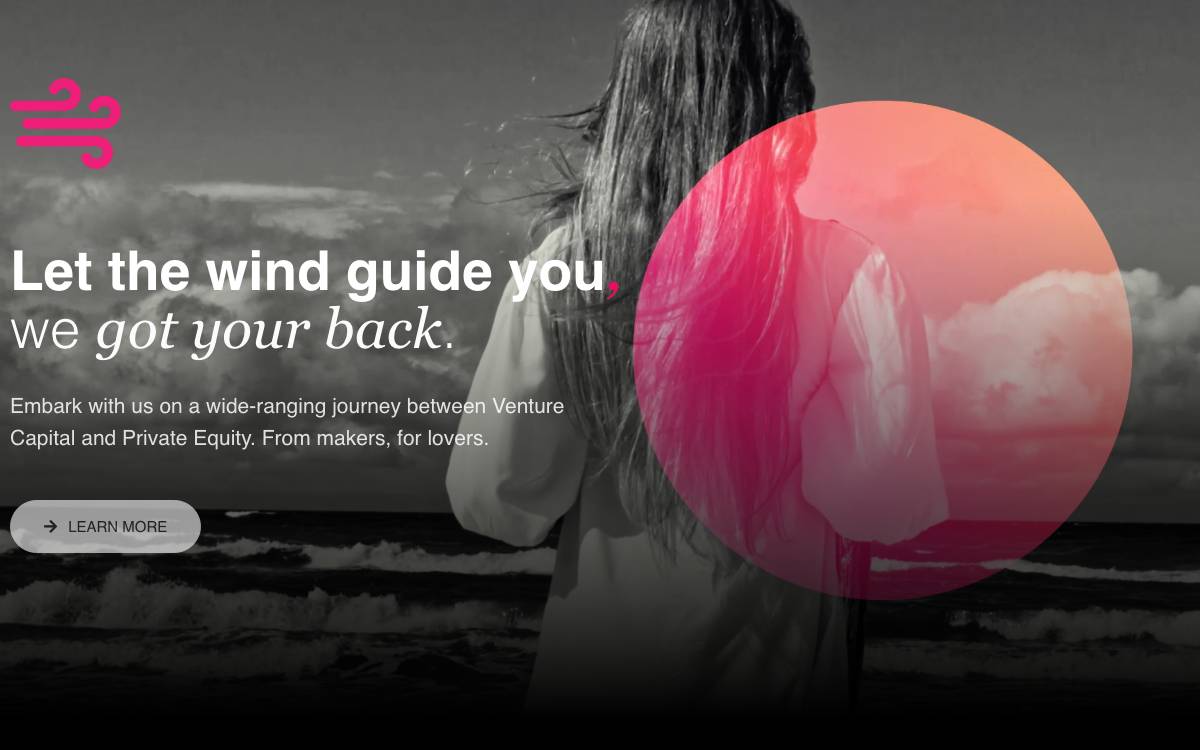 Windy Ventures website preview