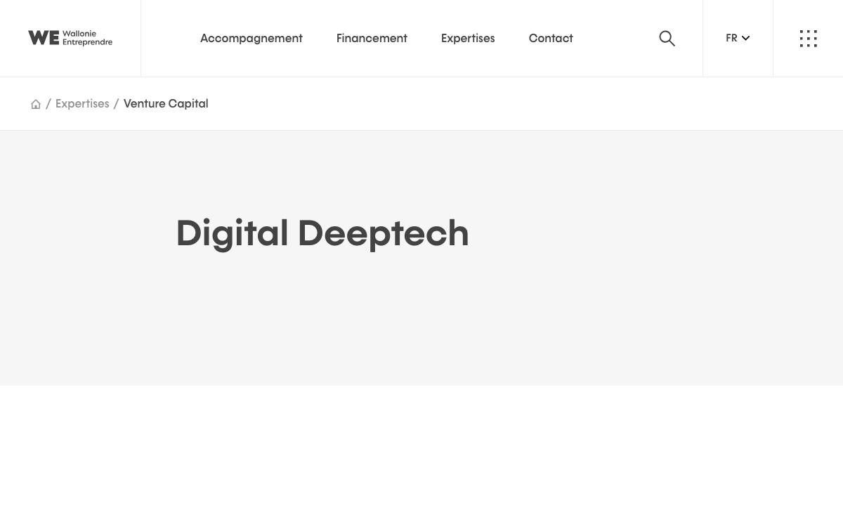 WING by Digital Wallonia website preview