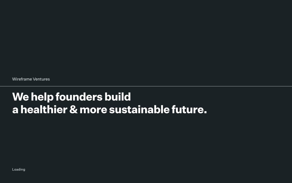 Wireframe Ventures website preview