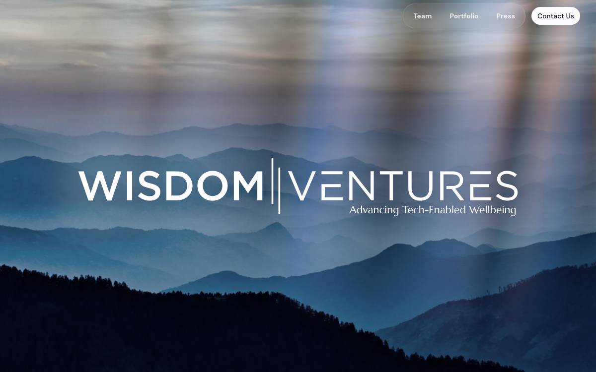 Wisdom Ventures website preview