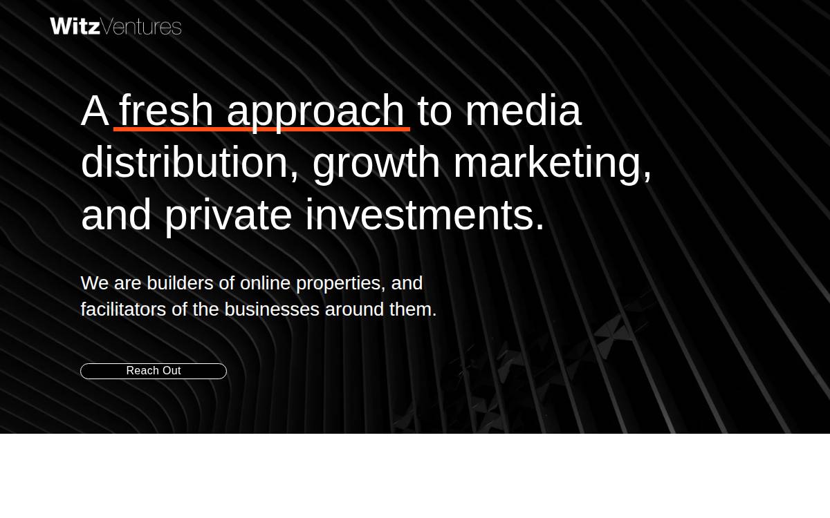 Witz Ventures website preview