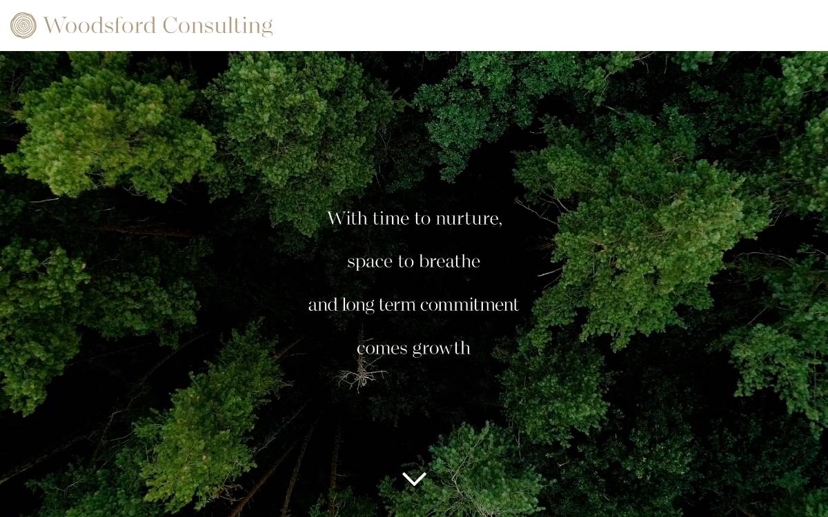 Woodsford Consulting website preview