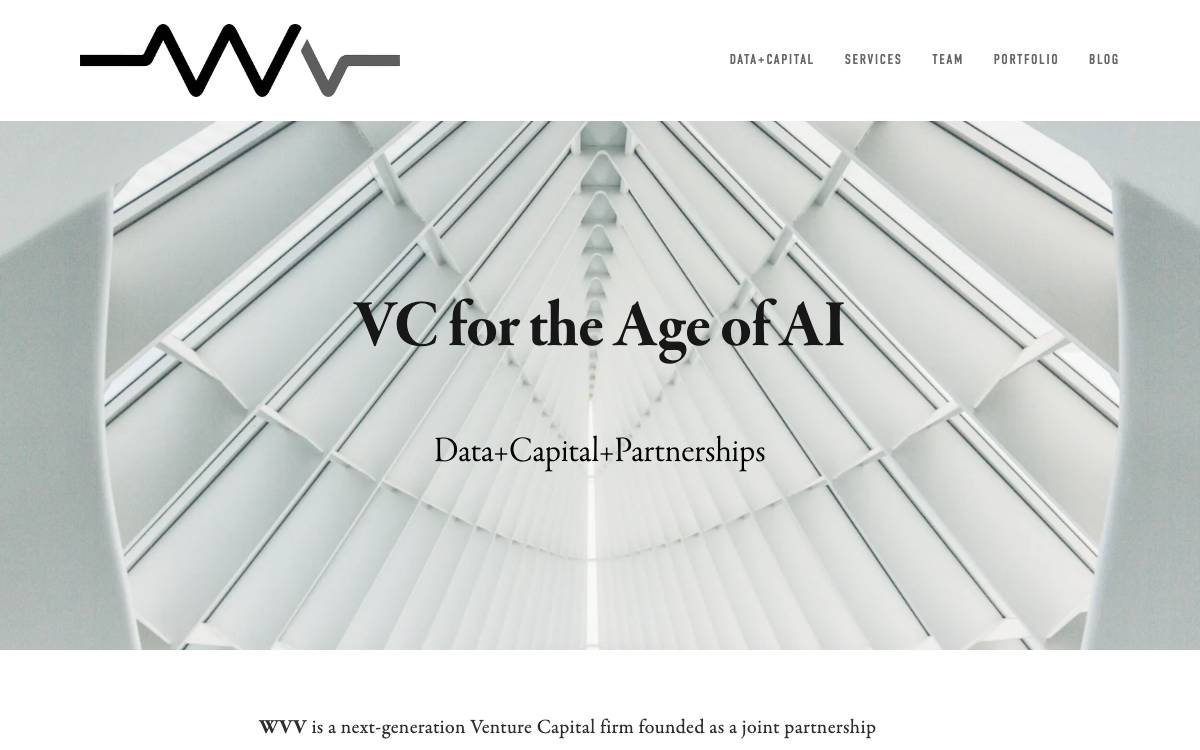 WVV Capital website preview