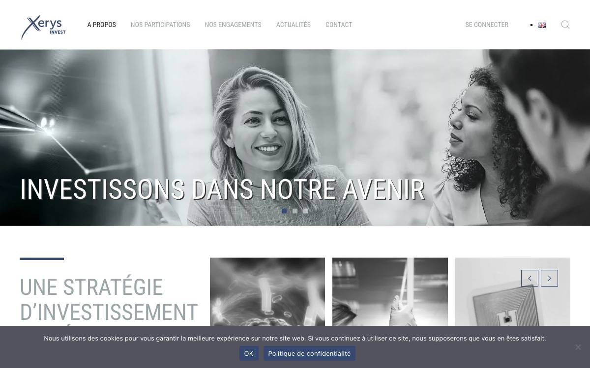 Xerys website preview