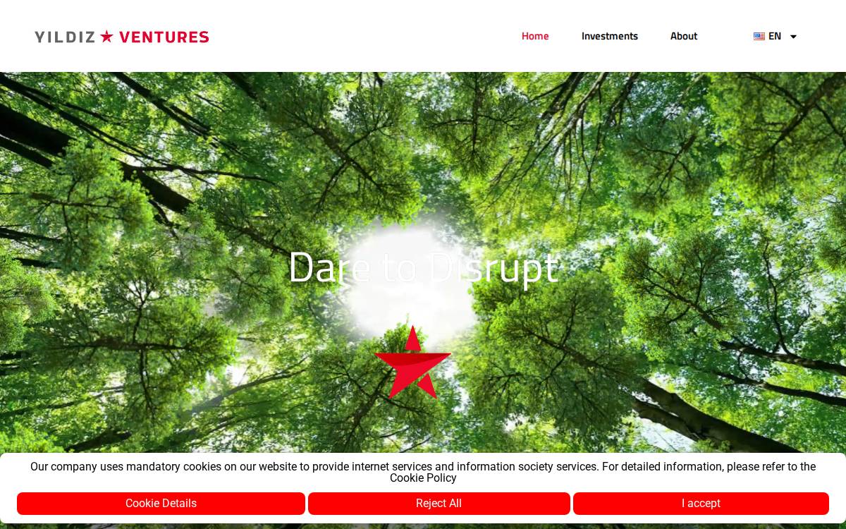 Yildiz Ventures website preview