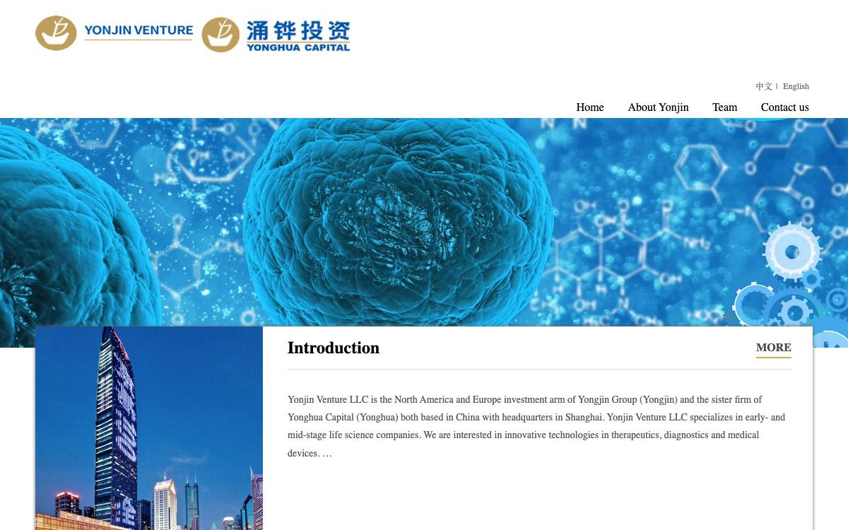 Yonjin Venture LLC website preview