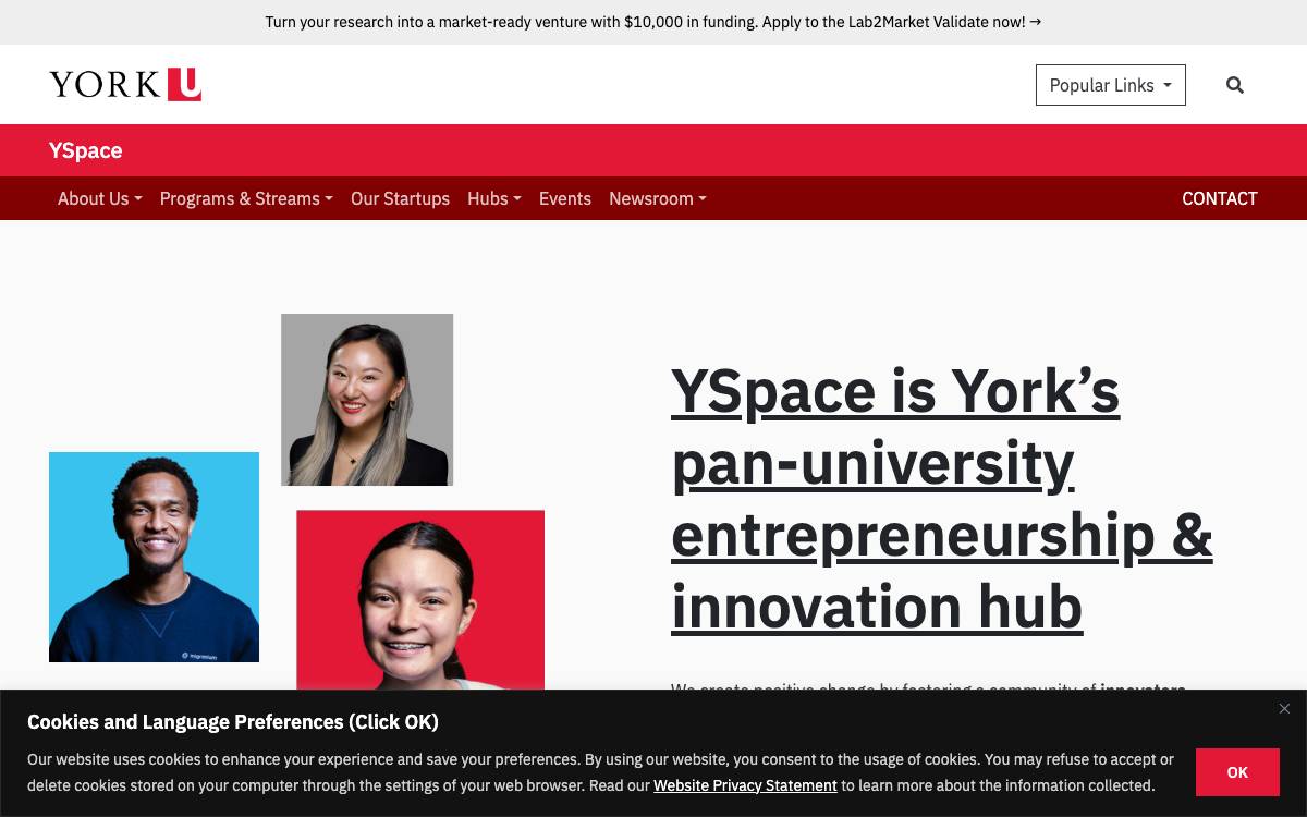 YorkU (YSpace) website preview