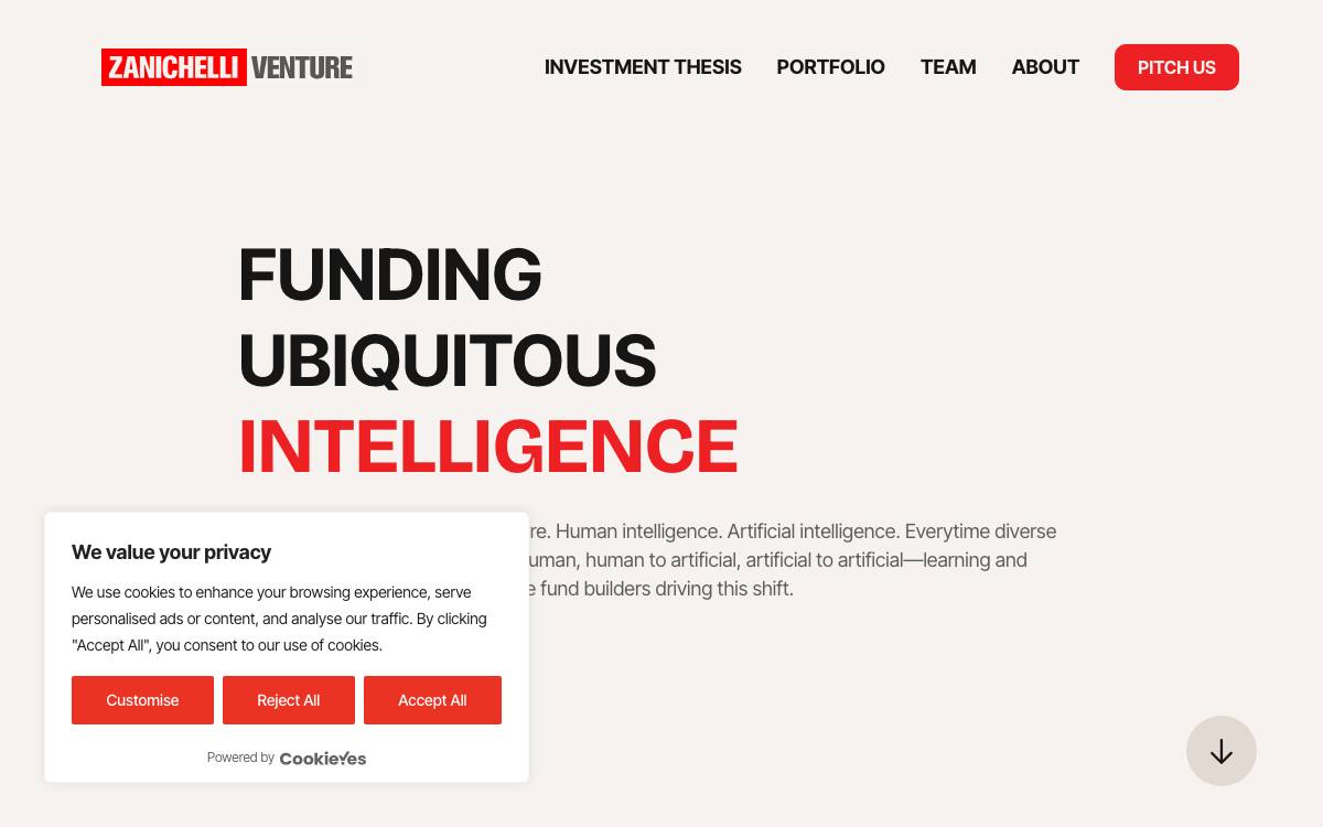 Zanichelli Venture website preview