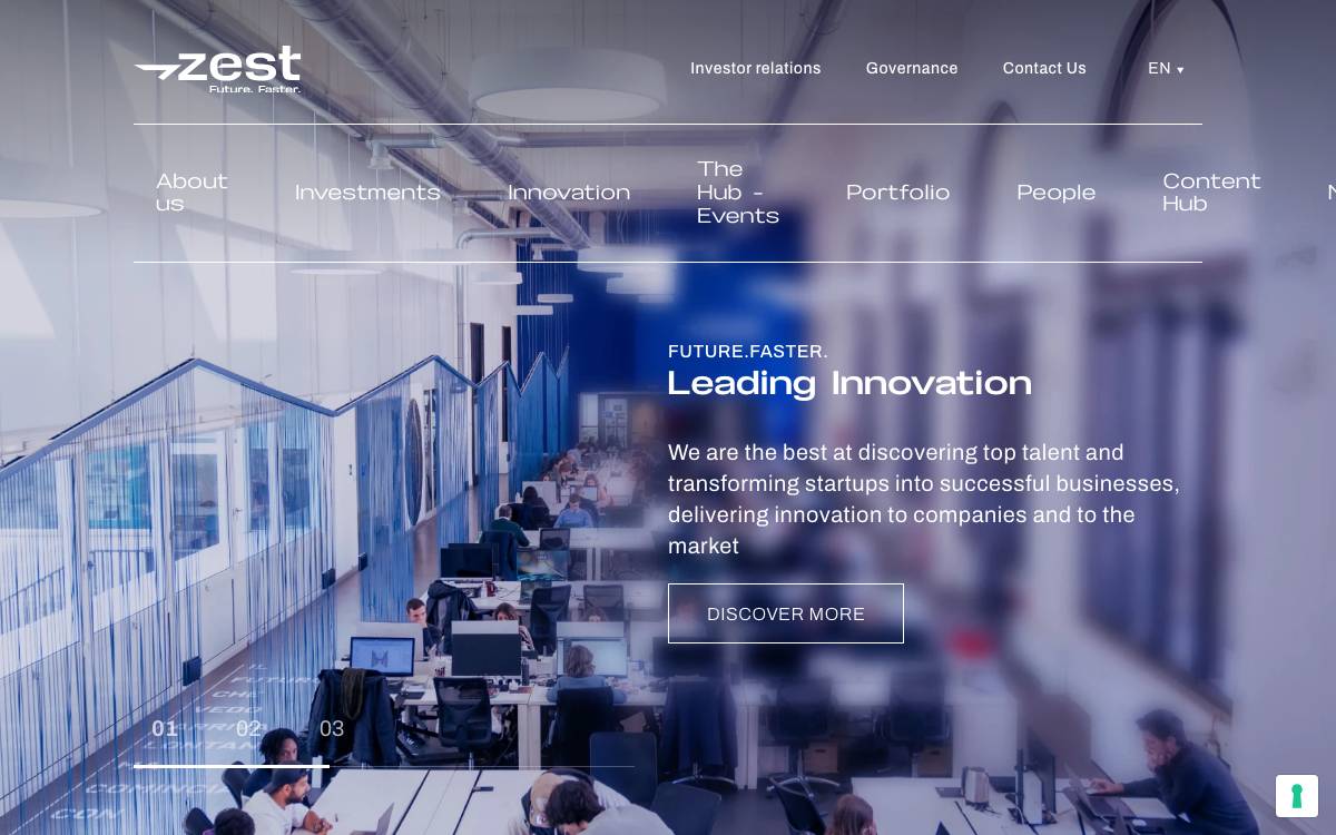 Zest website preview
