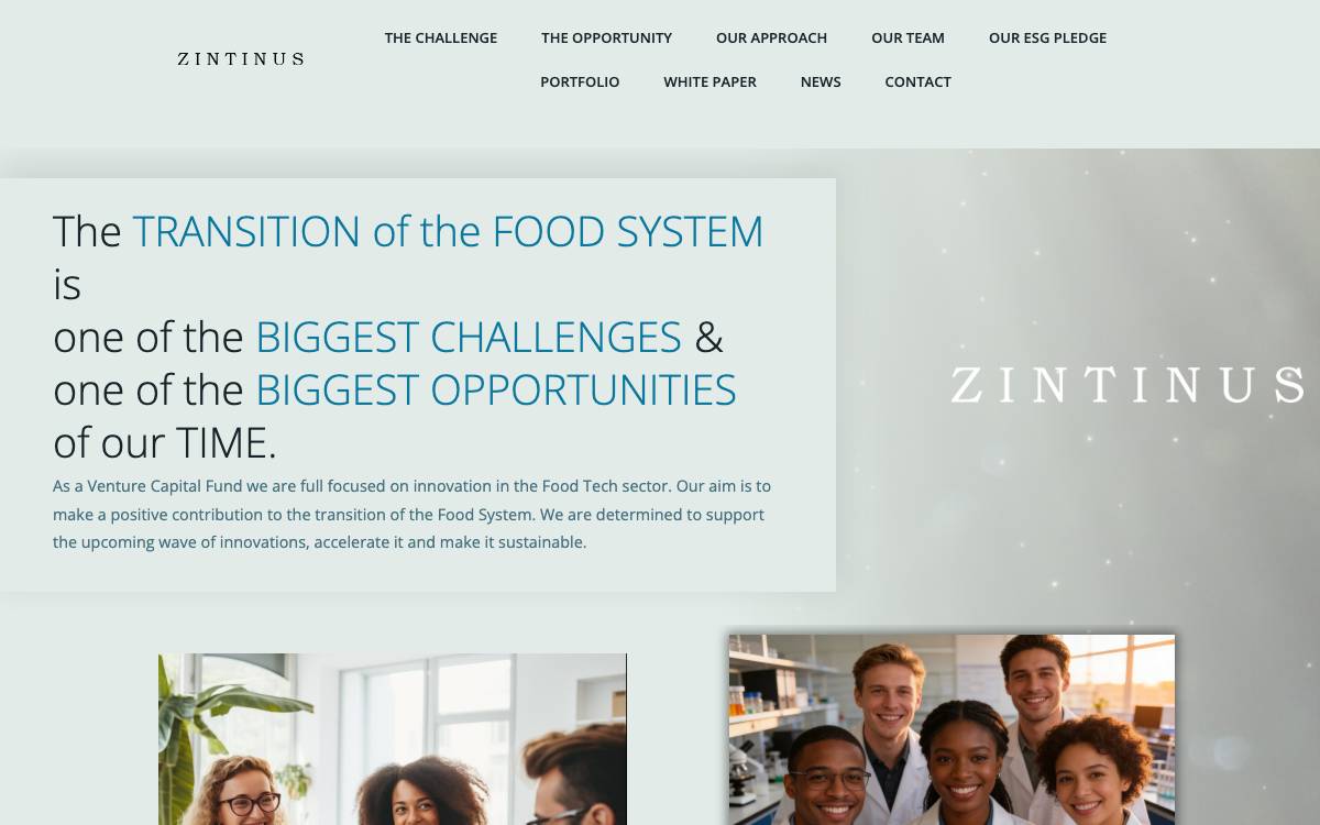 Zintinus website preview
