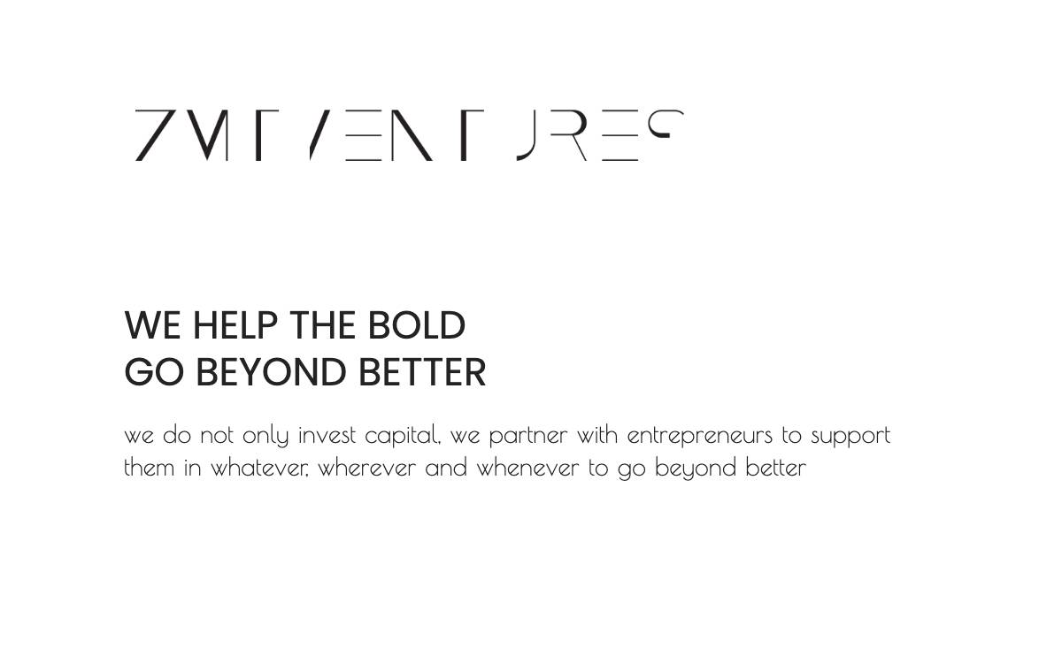 ZMT Ventures website preview