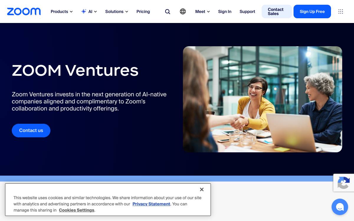 Zoom Ventures website preview